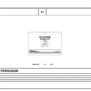 Challenger Mt655B 665B Parts Manual