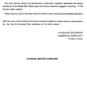 Hyundai D6A Service Manual