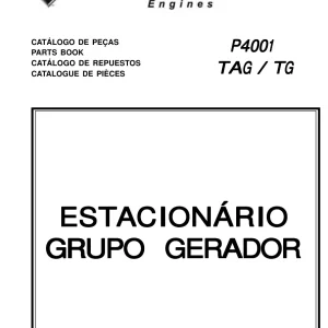 IH International P4001 Tag Tg Parts Manual