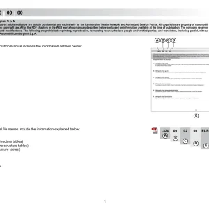 Lamborghini Murciélago Coupé Lp640 1 L824 Ws 2009 2009 Service Manual