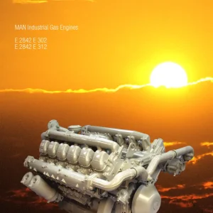 Man E 2842 E 312 ual Service Manual