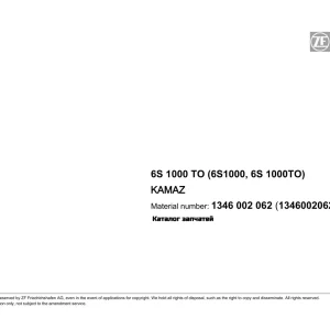 ZF 6S1000 2009 Parts Manual