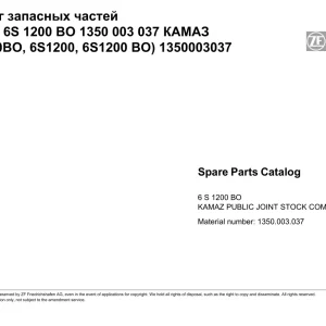 ZF 6S1200 2010 Parts Manual